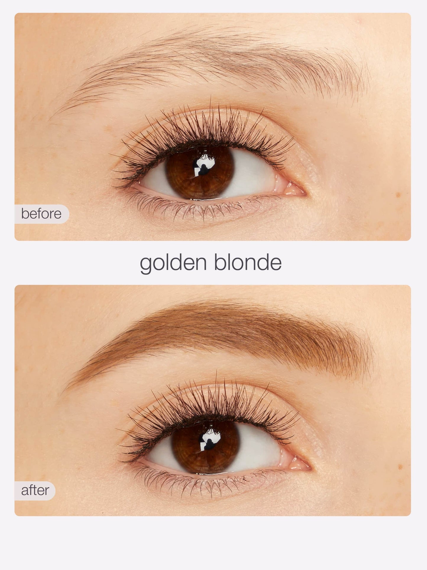 busy gal BROWS tinted brow gel