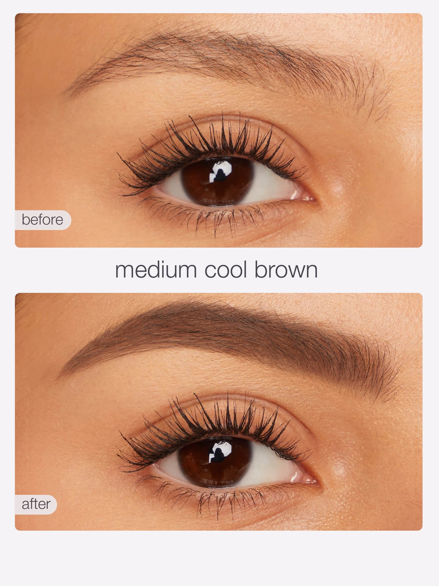 busy gal BROWS tinted brow gel